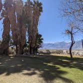 Review photo of Saline Valley Primitive Campground — Death Valley National Park by Meghan , March 28, 2021