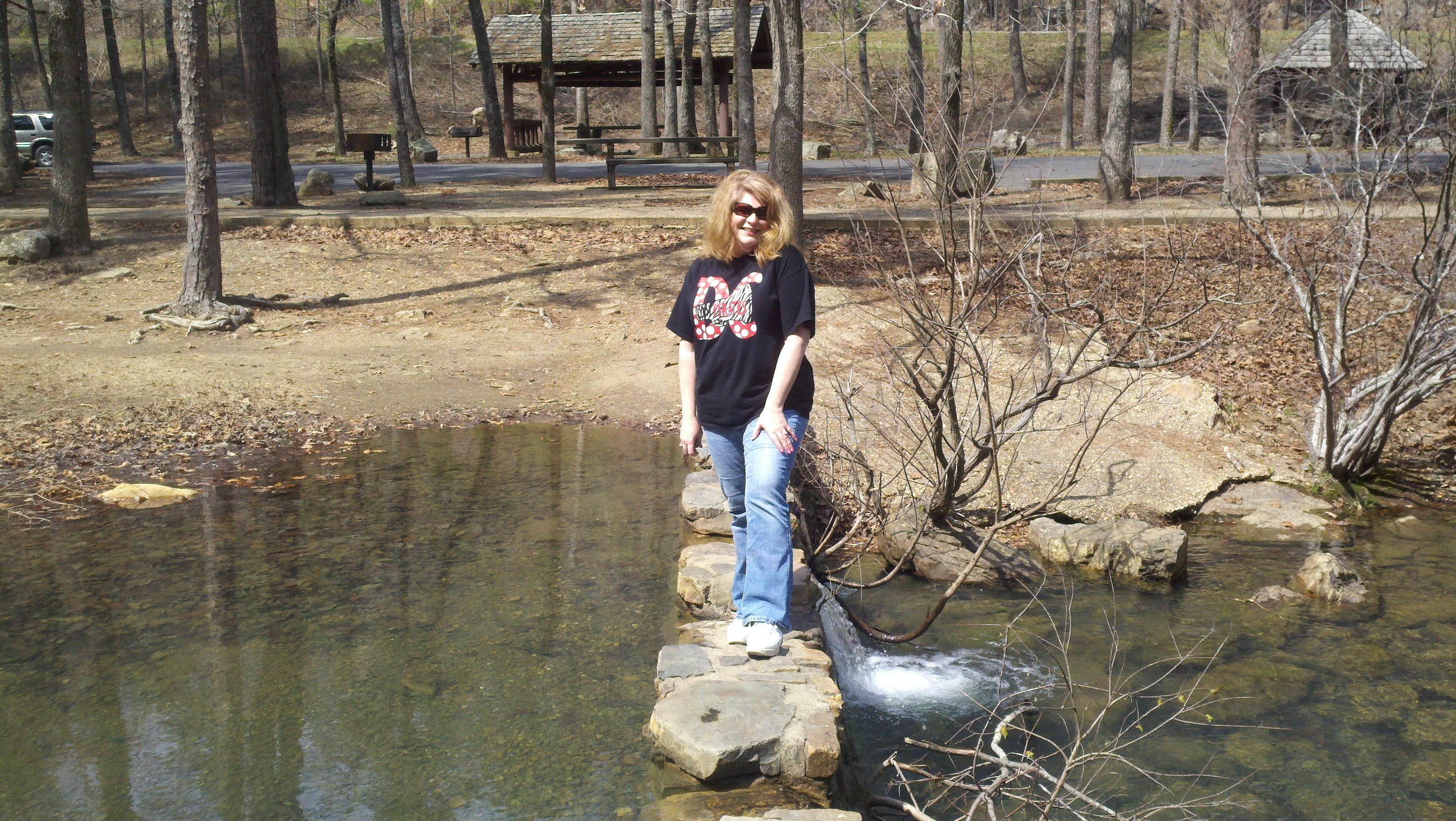 Camper-submitted photo at Iron Springs near Conway, AR