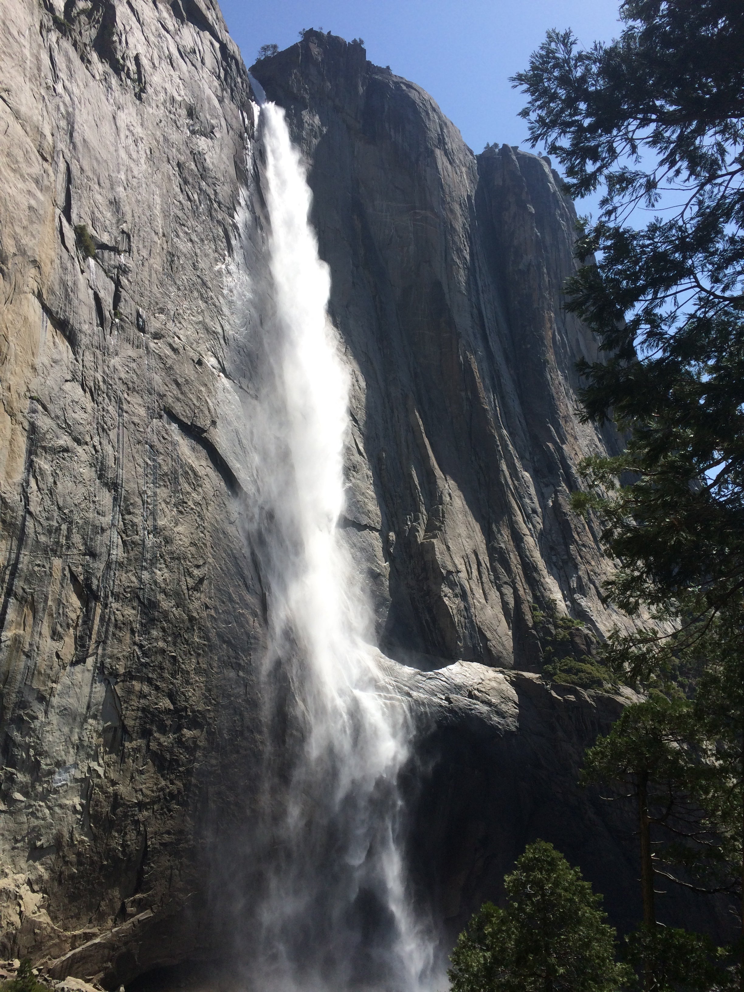 Camper submitted image from Upper Pines Campground — Yosemite National Park - 5