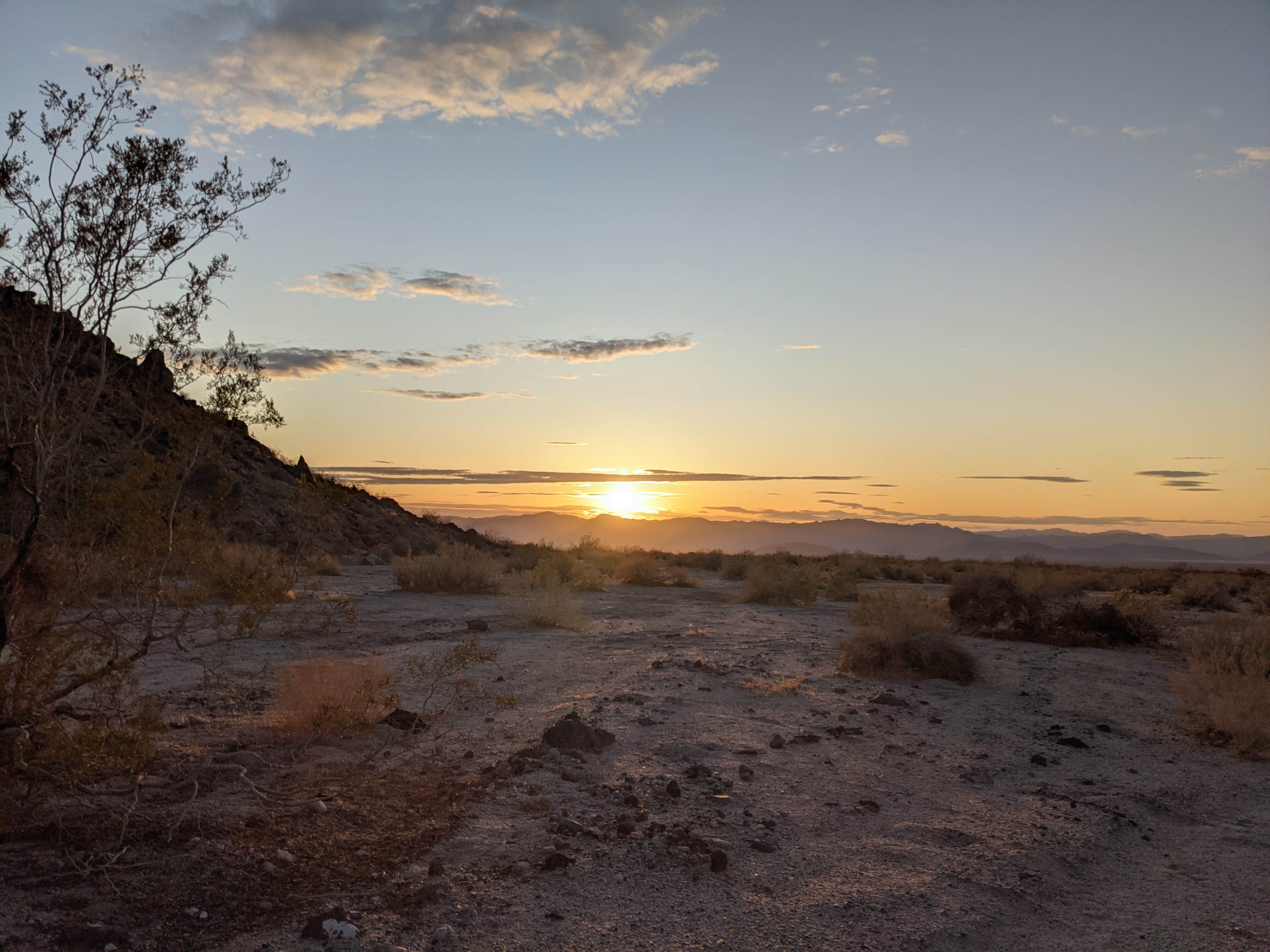 Camper-submitted photo at 17 Mile Camp — Mojave National Preserve near Baker, CA