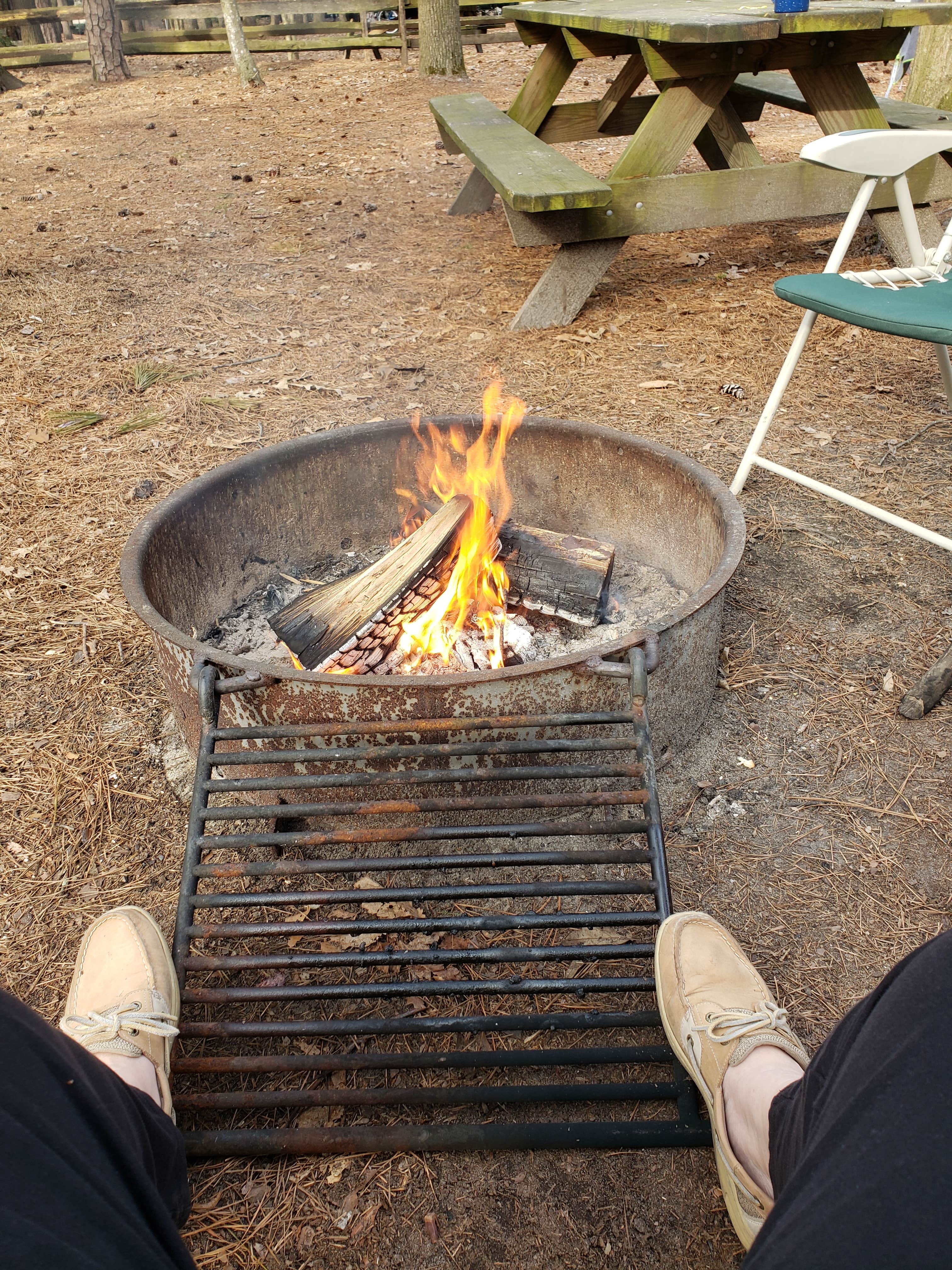 Camper-submitted photo at Trap Pond State Park Campground near Millville, DE