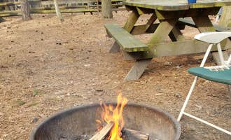 Camping near Spillway Farms: Trap Pond State Park Campground, Delmar, Delaware