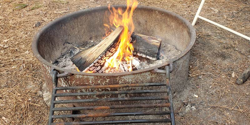 Camper submitted image from Trap Pond State Park Campground