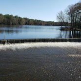 Review photo of Trap Pond State Park Campground by The M., March 28, 2021