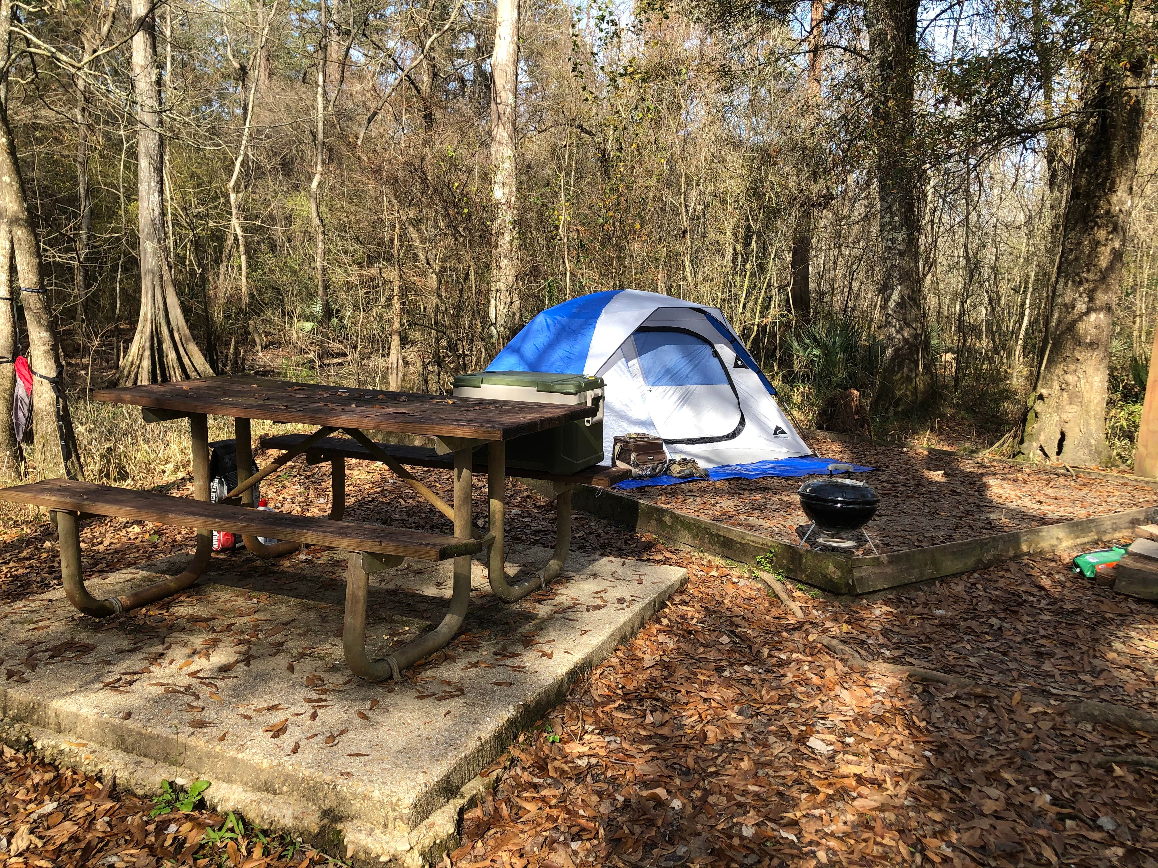 Tyler H.'s photo at Tickfaw State Park Campground near Hammond, LA