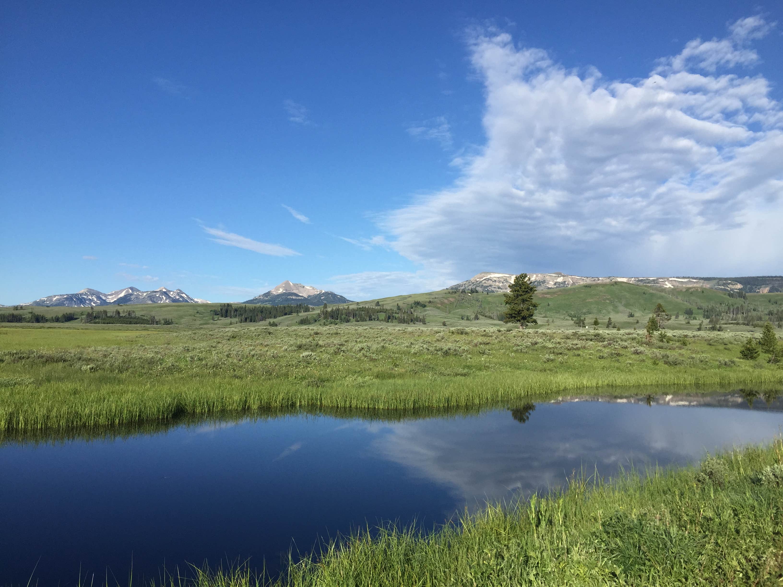 Camper submitted image from Mammoth Campground — Yellowstone National Park - 1