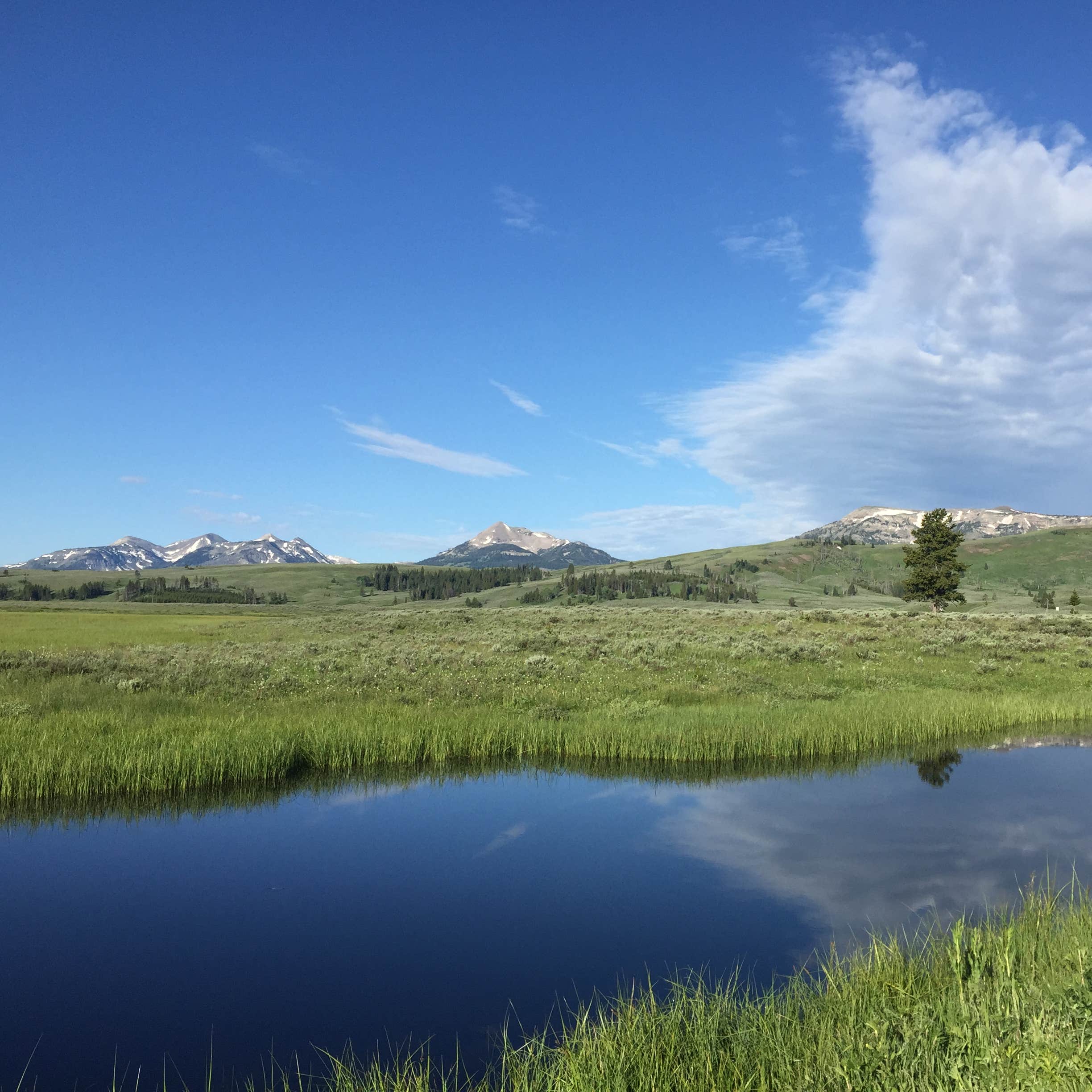 Mammoth Campground — Yellowstone National Park