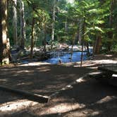 Review photo of Colonial Creek South Campground — Ross Lake National Recreation Area by Meghan , March 28, 2021