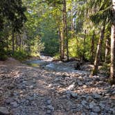 Review photo of Colonial Creek South Campground — Ross Lake National Recreation Area by Meghan , March 28, 2021