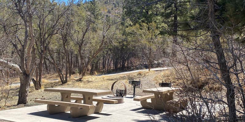 Camper submitted image from Kyle Canyon Campground (formerly Day Use only)