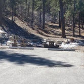 Review photo of Kyle Canyon Campground (formerly Day Use only) by Brittney  C., March 28, 2021