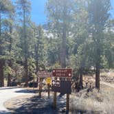 Review photo of Kyle Canyon Campground (formerly Day Use only) by Brittney  C., March 28, 2021