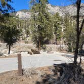 Review photo of Kyle Canyon Campground (formerly Day Use only) by Brittney  C., March 28, 2021