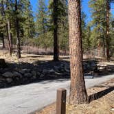 Review photo of Kyle Canyon Campground (formerly Day Use only) by Brittney  C., March 28, 2021