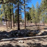 Review photo of Kyle Canyon Campground (formerly Day Use only) by Brittney  C., March 28, 2021