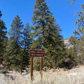 Review photo of Kyle Canyon Campground (formerly Day Use only) by Brittney  C., March 28, 2021