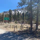Review photo of Kyle Canyon Campground by Brittney  C., March 16, 2021