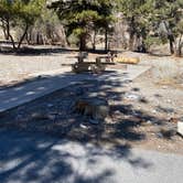 Review photo of Kyle Canyon Campground by Brittney  C., March 16, 2021