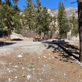 Review photo of Kyle Canyon Campground by Brittney  C., March 16, 2021