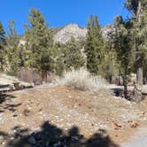 Review photo of Kyle Canyon Campground by Brittney  C., March 16, 2021