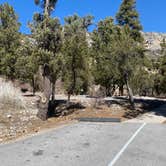 Review photo of Kyle Canyon Campground by Brittney  C., March 16, 2021