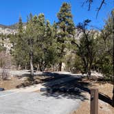 Review photo of Kyle Canyon Campground by Brittney  C., March 16, 2021