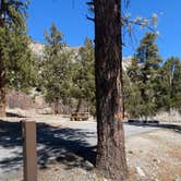 Review photo of Kyle Canyon Campground by Brittney  C., March 16, 2021