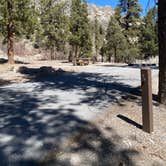 Review photo of Kyle Canyon Campground by Brittney  C., March 16, 2021