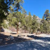 Review photo of Kyle Canyon Campground by Brittney  C., March 16, 2021