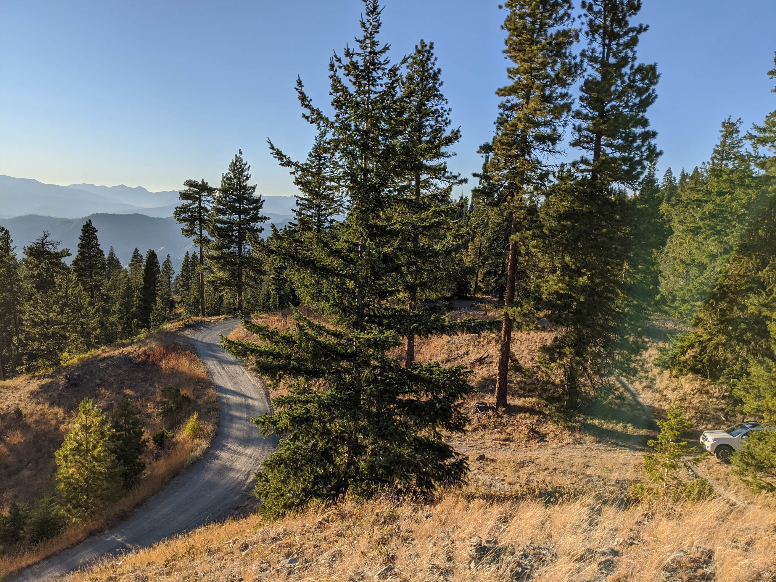 Chumstick Mountain Dispersed Camping The Dyrt