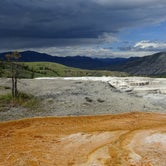 Review photo of Mammoth Hot Springs by Brooke C., May 31, 2018