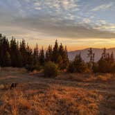 Review photo of Baldy Mountain Dispersed Camping by Meghan , March 28, 2021