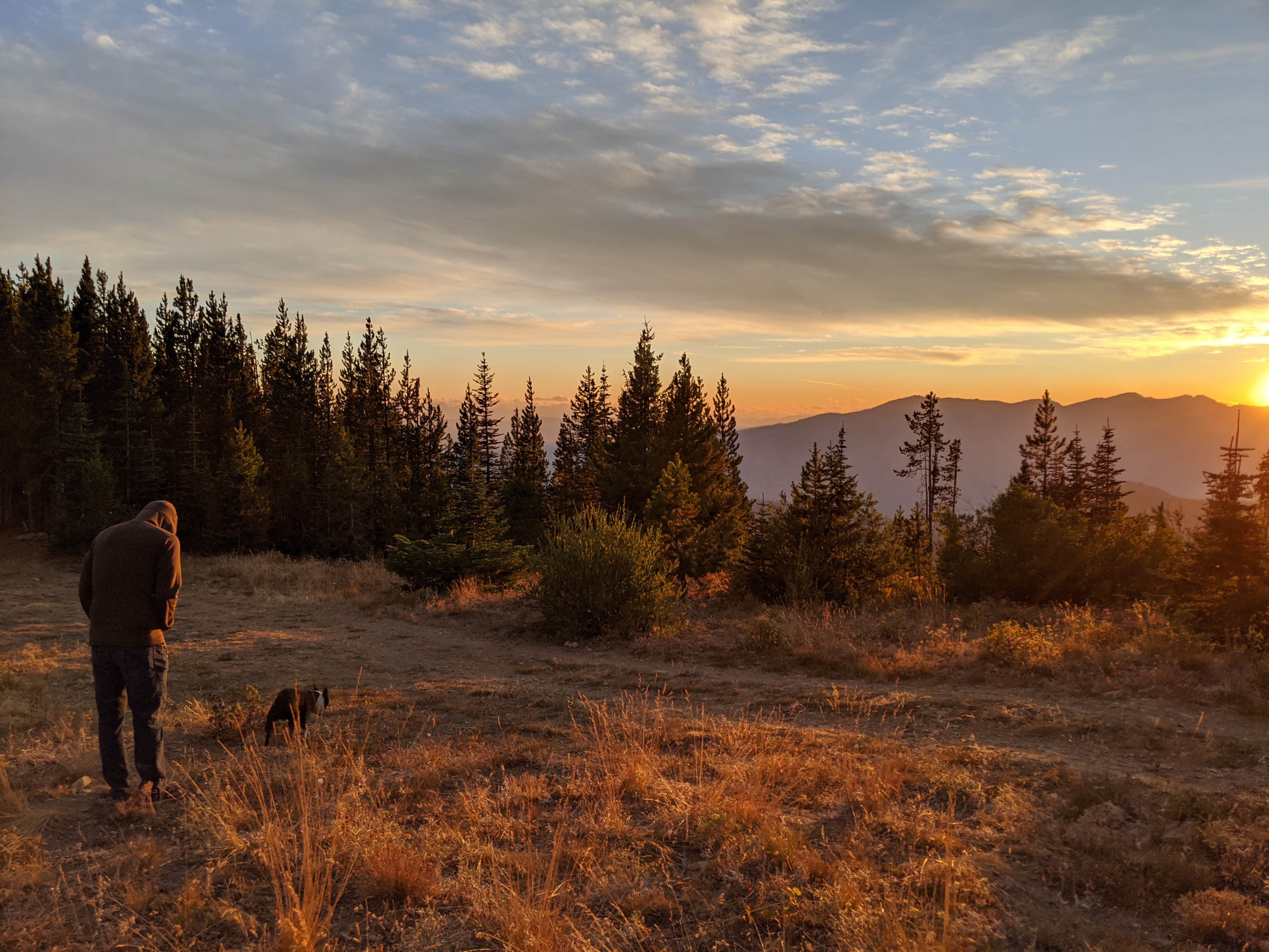 Camper submitted image from Baldy Mountain Dispersed Camping - 1