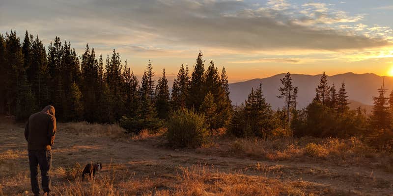 Camper submitted image from Baldy Mountain Dispersed Camping