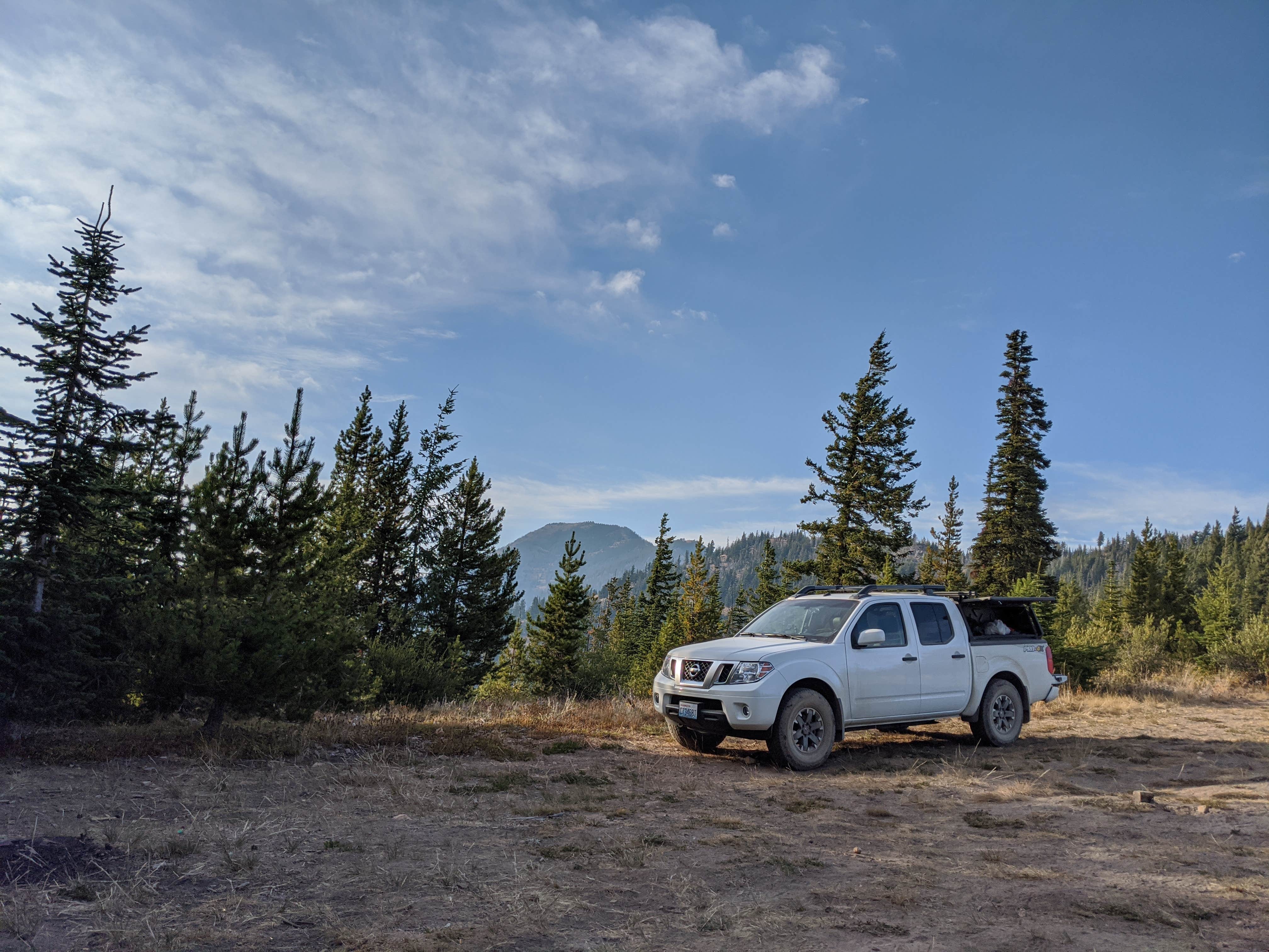 Camper submitted image from Baldy Mountain Dispersed Camping - 4