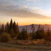 Review photo of Baldy Mountain Dispersed Camping by Meghan , March 28, 2021