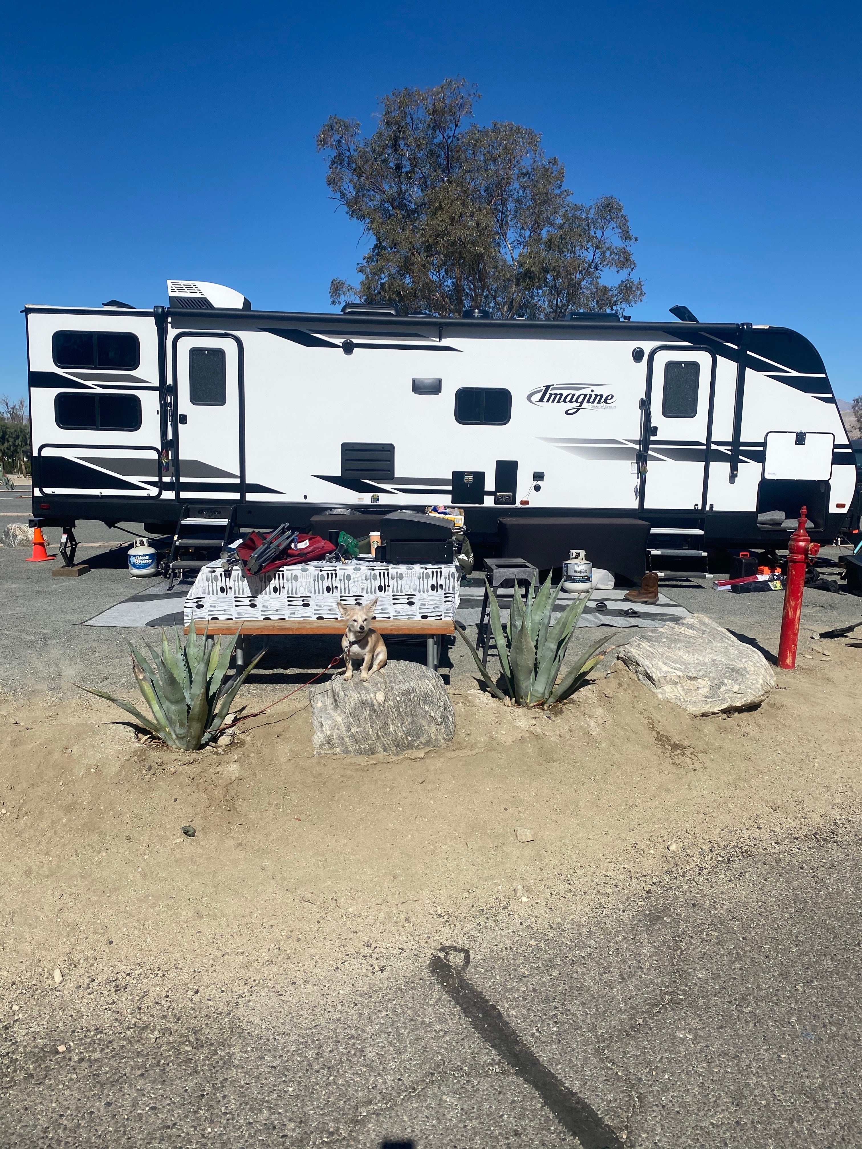 Camper submitted image from Palm Springs-Joshua Tree KOA - 5