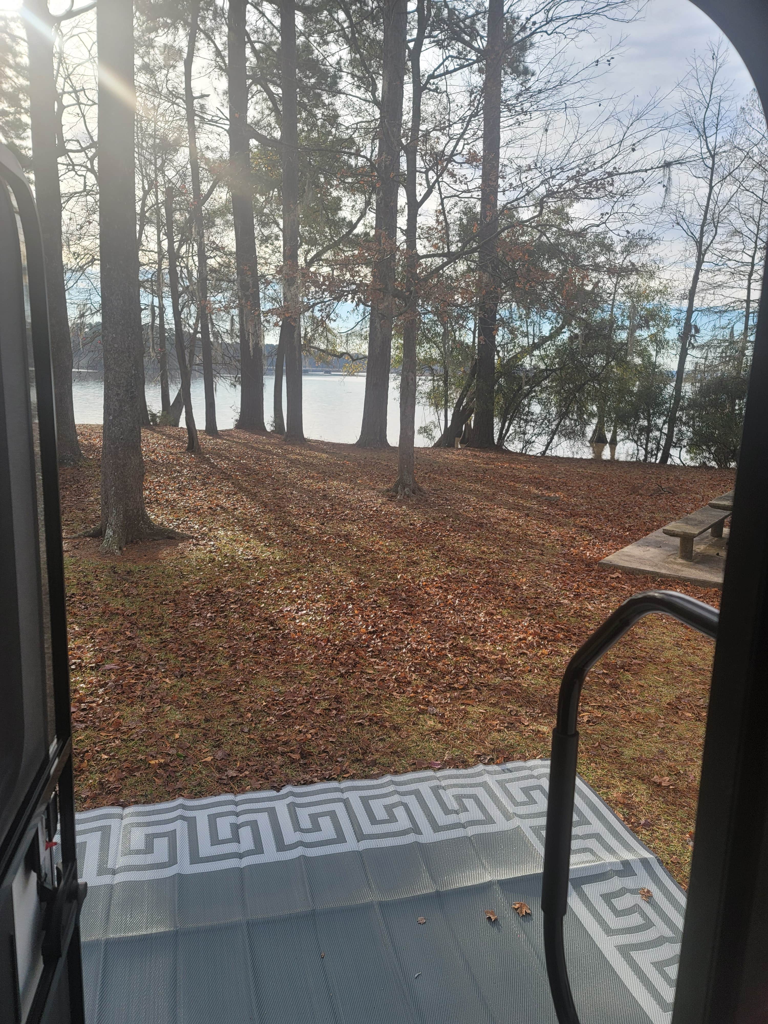 Camper-submitted photo at Martin Dies, Jr. State Park Campground near Steinhagen Lake