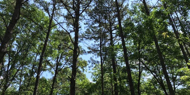 Camper submitted image from Johnson Creek