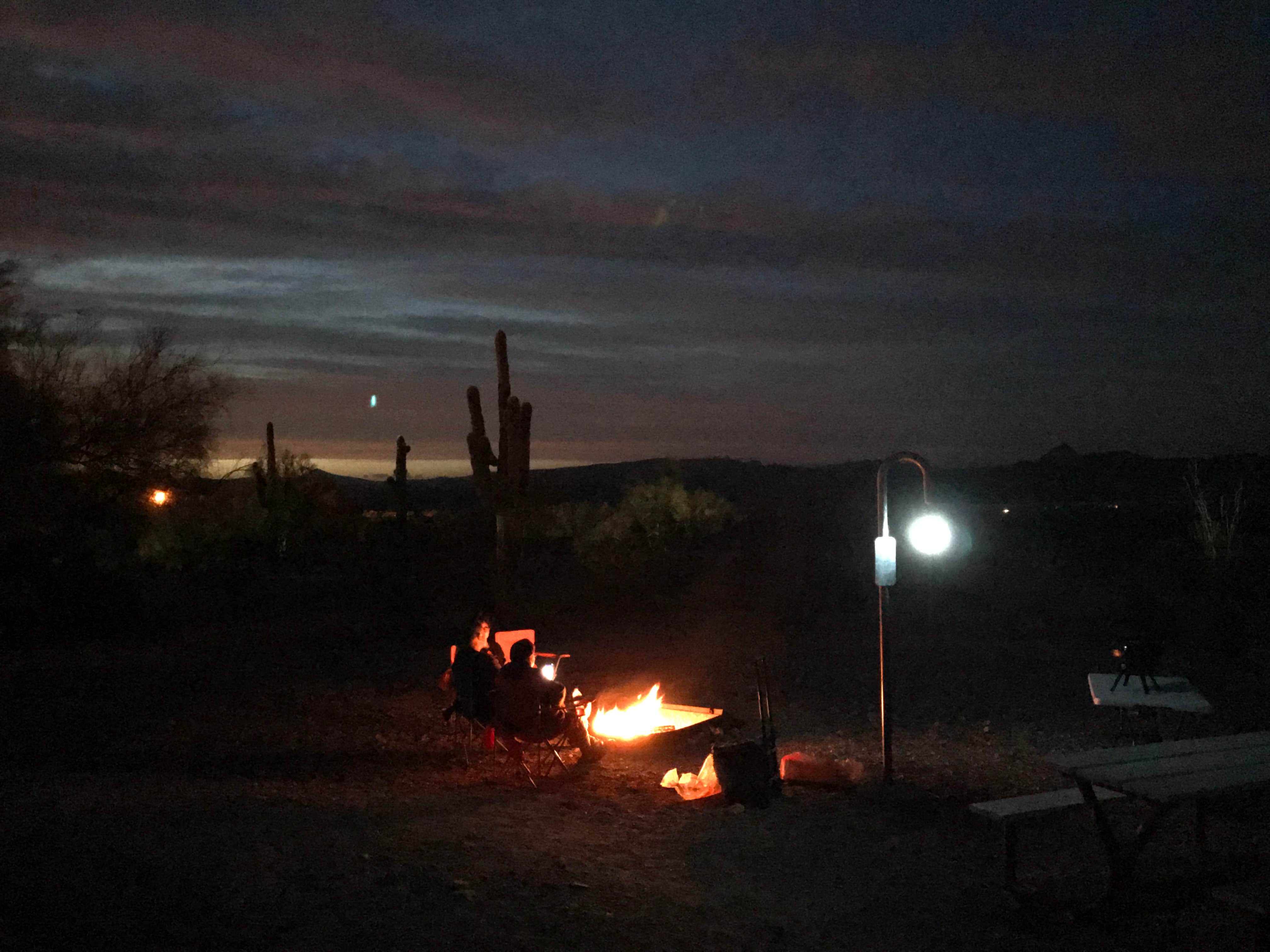 Camper submitted image from Alamo Lake State Park Campground - 5