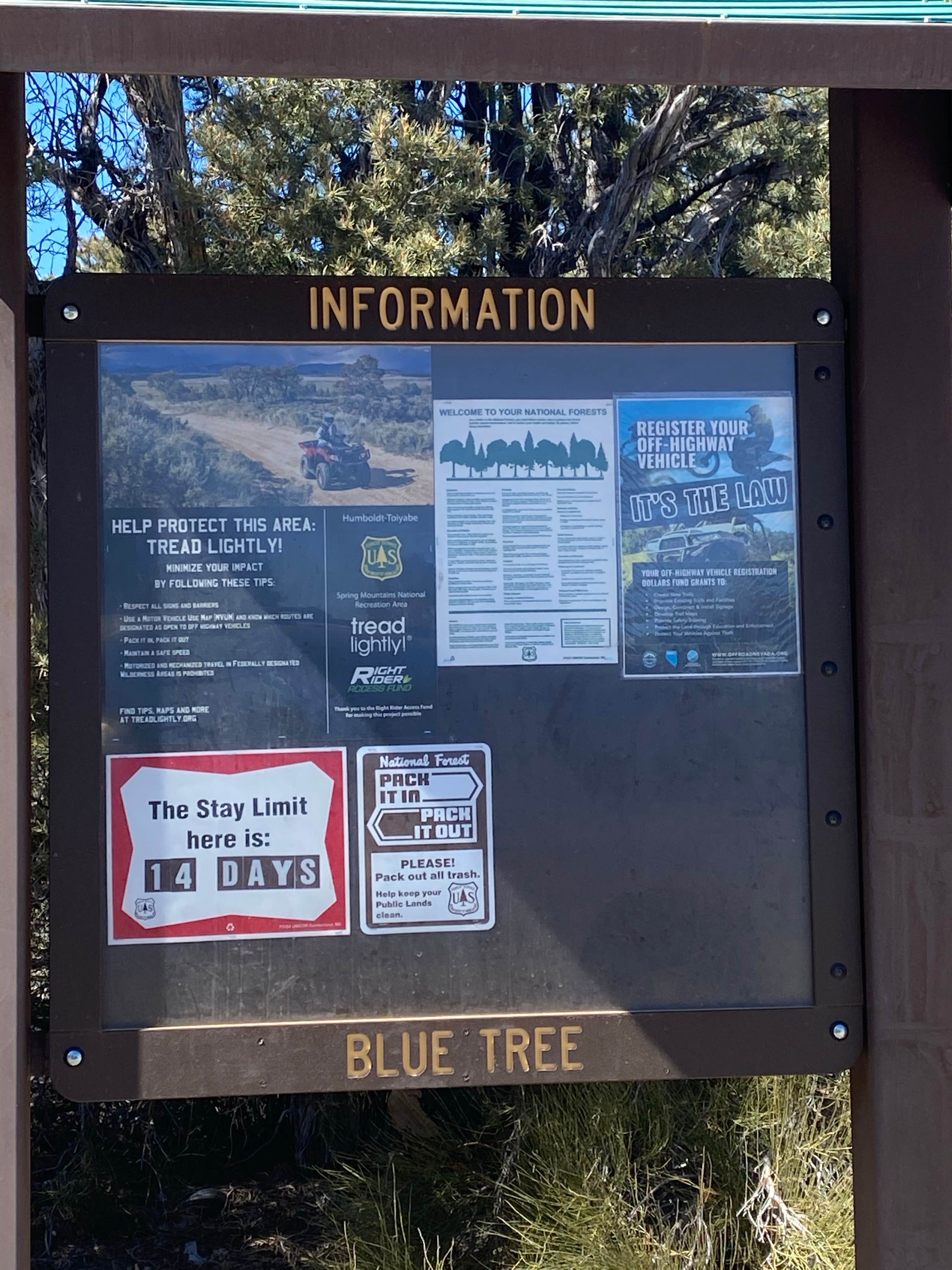 Camping near BLM Dispersed Camping near Indian Springs: Blue Tree Group Camp, Mount Charleston, Nevada