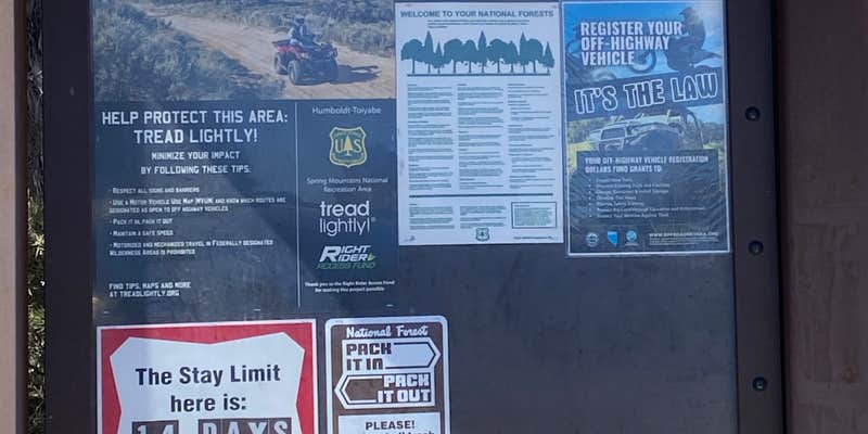 Camper submitted image from Blue Tree Group Camp