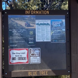  Blue Tree Group Camp