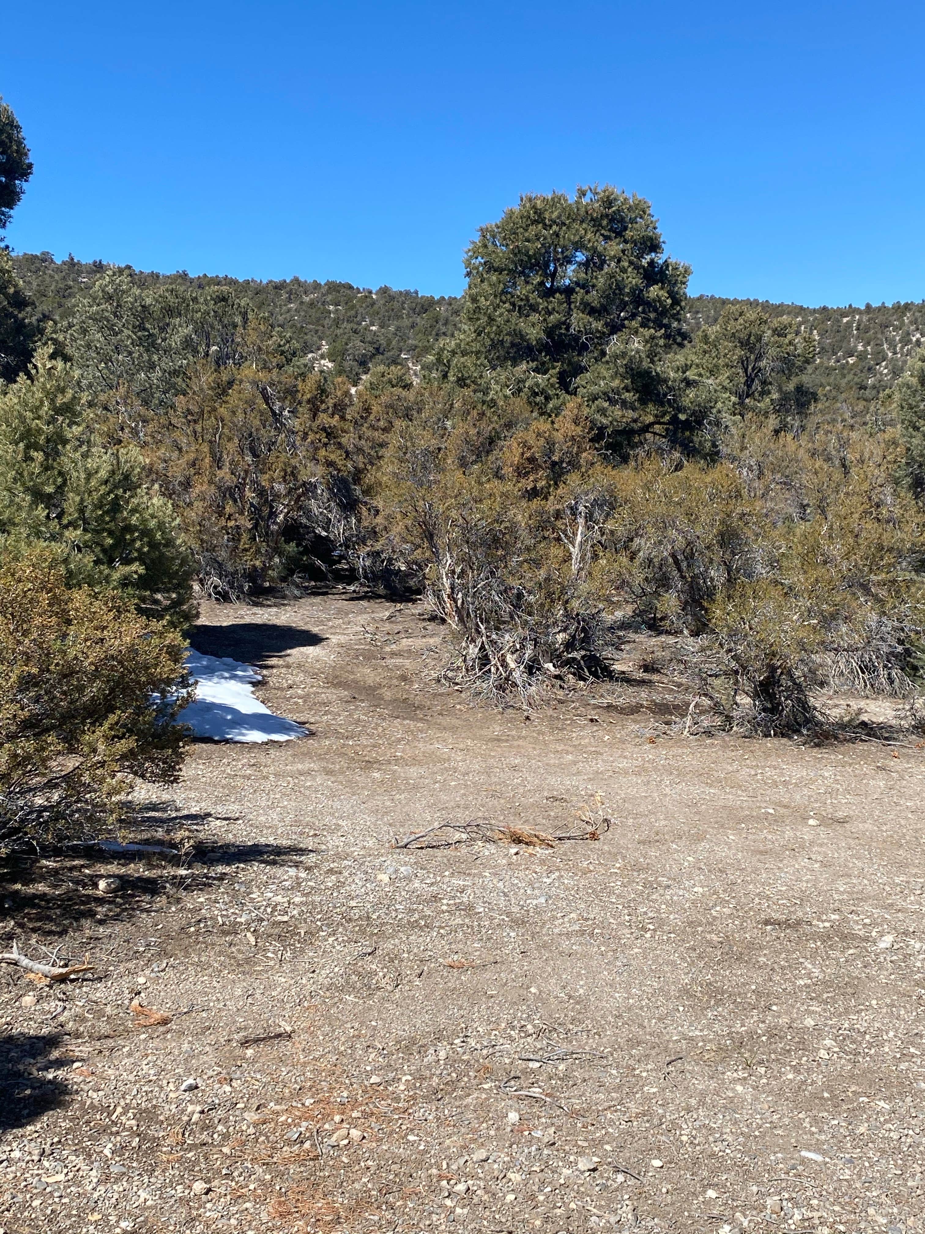 Camper-submitted photo at Blue Tree Group Camp near Indian Springs, NV