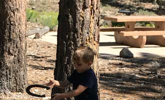 Camping near Carpenter Canyon: Toiyabe National Forest Old Mill Campground, Mount Charleston, Nevada