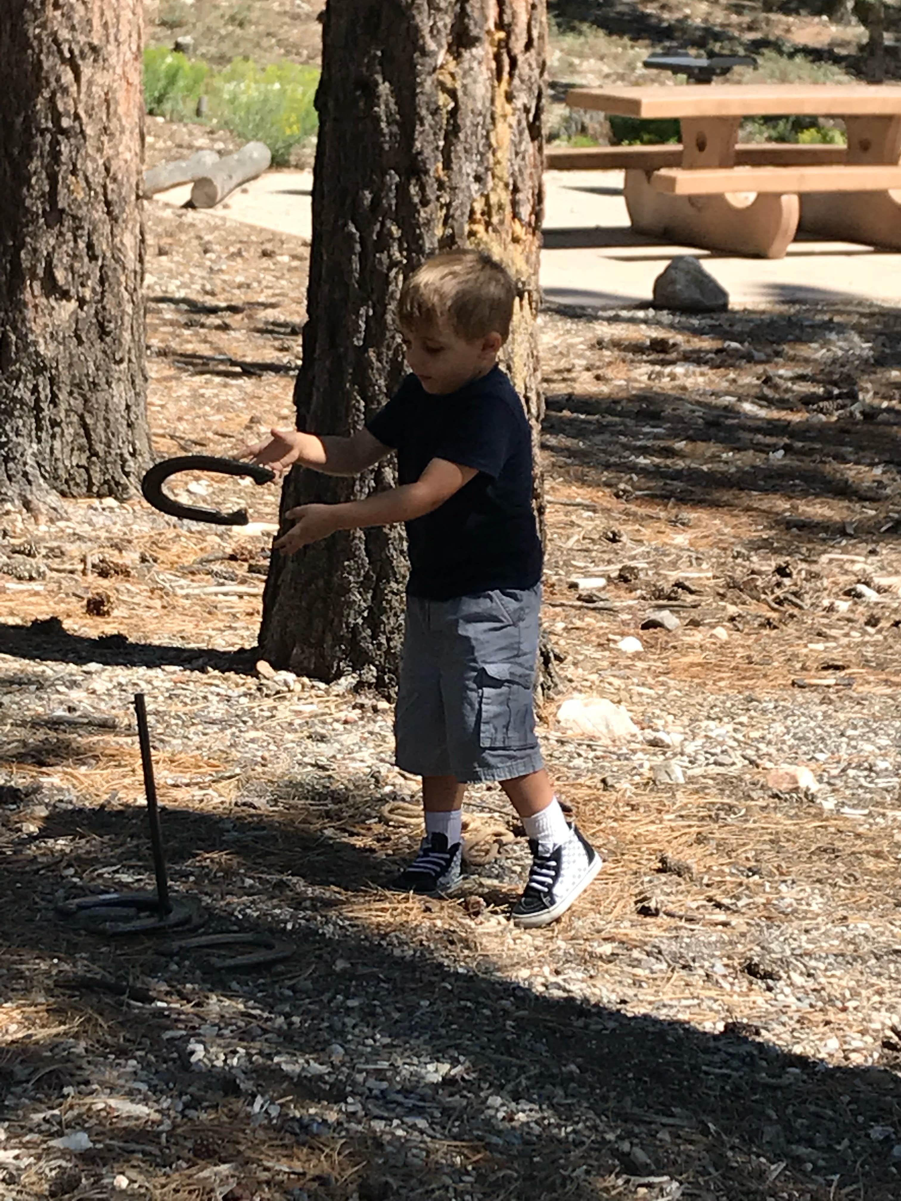 Camper submitted image from Toiyabe National Forest Old Mill Campground - 1