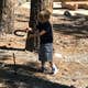 Toiyabe National Forest Old Mill Campground