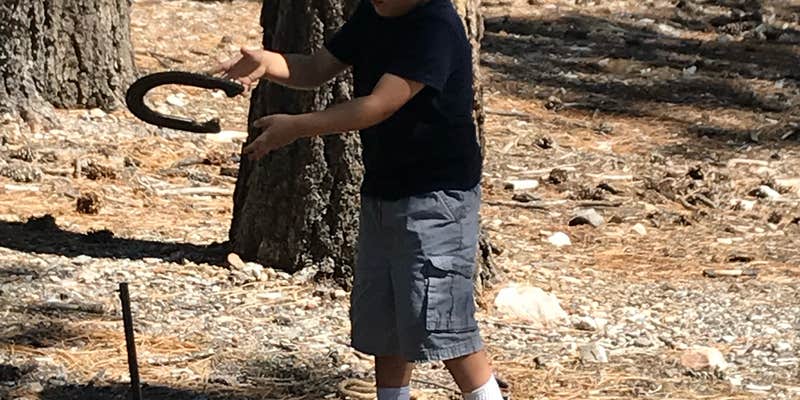 Camper submitted image from Toiyabe National Forest Old Mill Campground