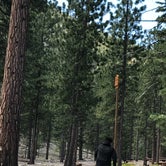 Review photo of Toiyabe National Forest Old Mill Campground by Brittney  C., March 28, 2021