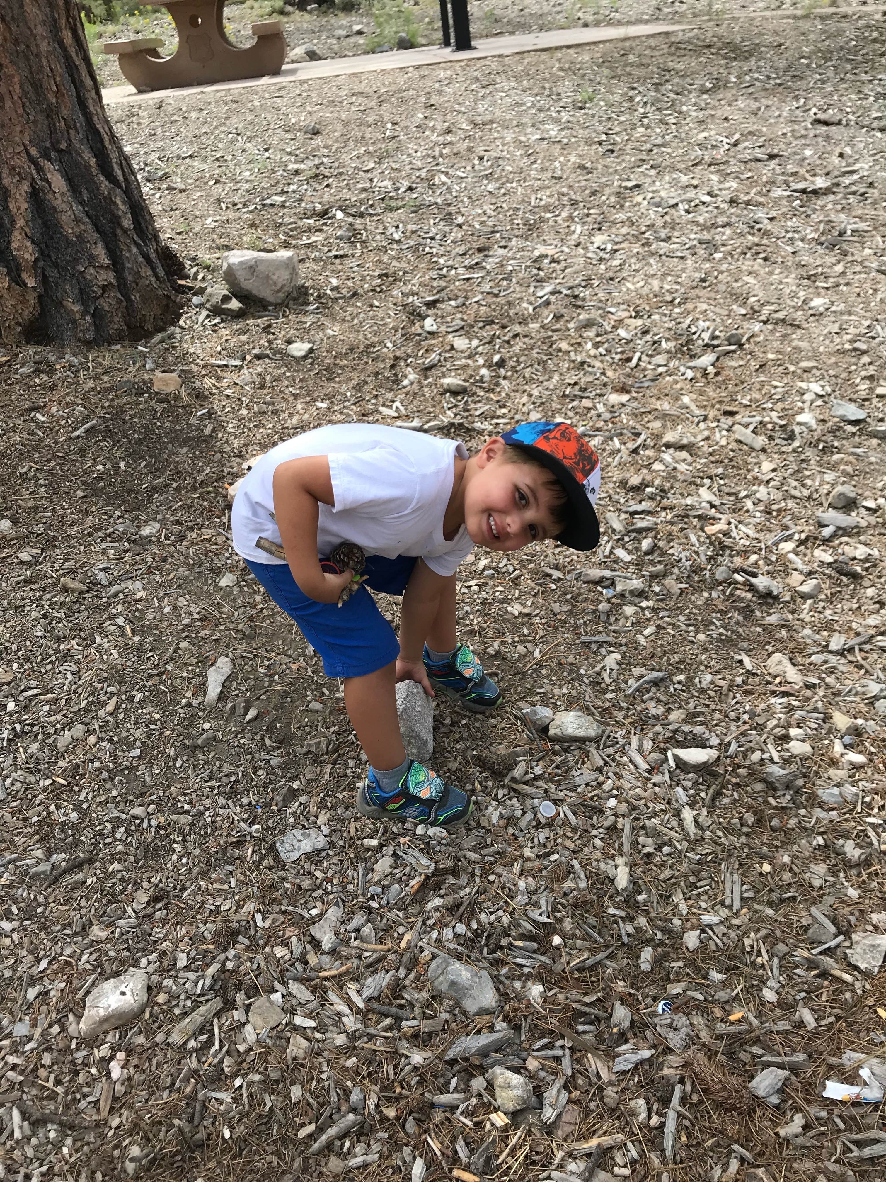 Camper submitted image from Toiyabe National Forest Old Mill Campground - 4